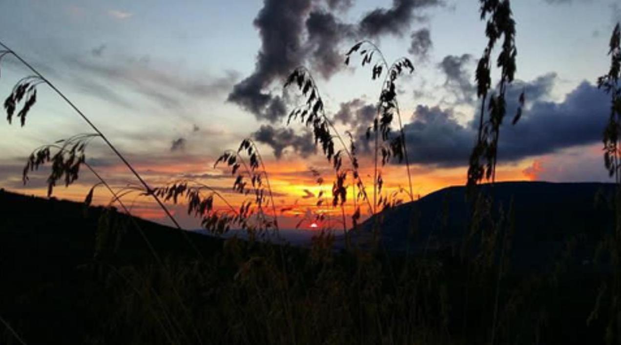 In Sicilia Da Ciro Bed & Breakfast Vita ภายนอก รูปภาพ