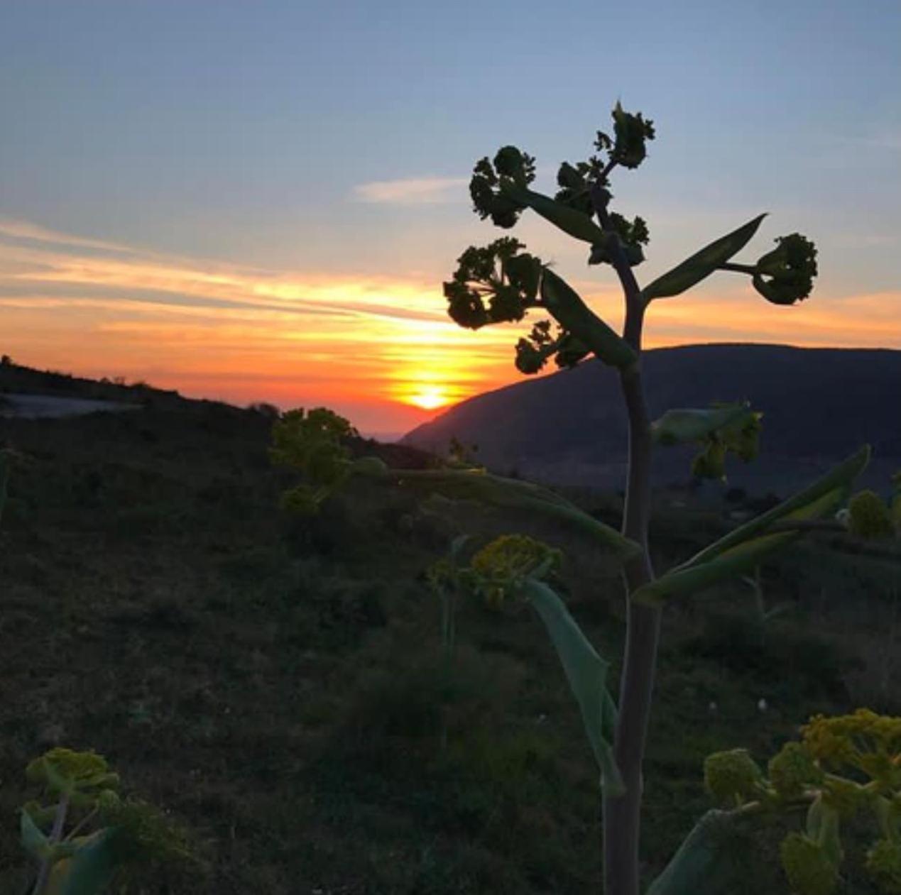 In Sicilia Da Ciro Bed & Breakfast Vita ภายนอก รูปภาพ